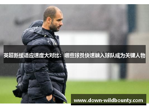 英超新援适应速度大对比：哪些球员快速融入球队成为关键人物