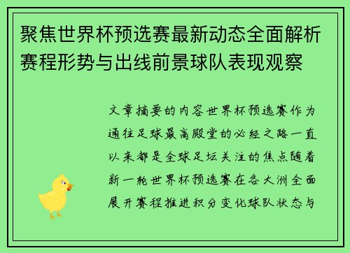 聚焦世界杯预选赛最新动态全面解析赛程形势与出线前景球队表现观察