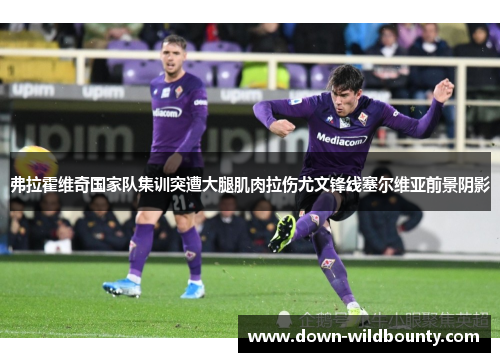 弗拉霍维奇国家队集训突遭大腿肌肉拉伤尤文锋线塞尔维亚前景阴影 弗拉霍维奇国家队集训突遭大腿肌肉拉伤尤文锋线塞尔维亚前景阴影