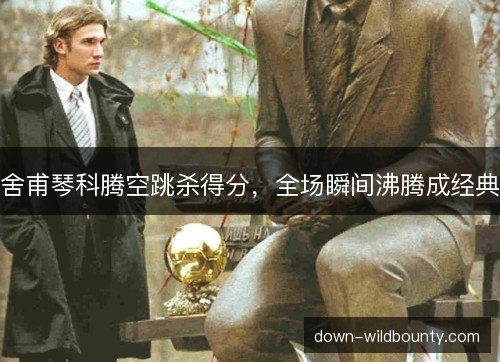 舍甫琴科腾空跳杀得分,全场瞬间沸腾成经典 舍甫琴科腾空跳杀得分,全场瞬间沸腾成经典